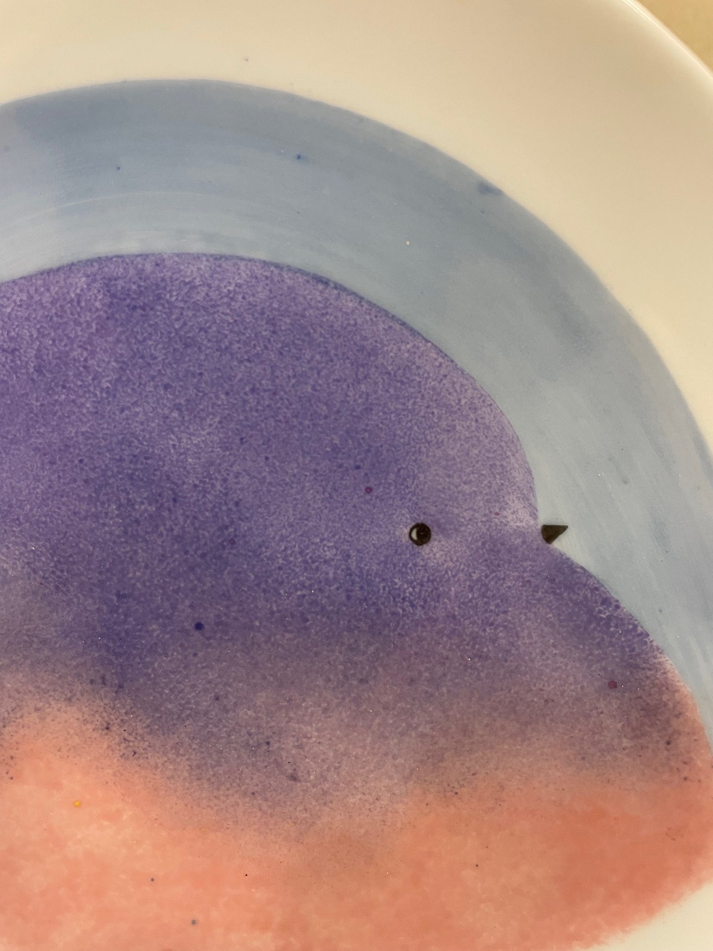Assiette Oiseau Violet bleu et Rose